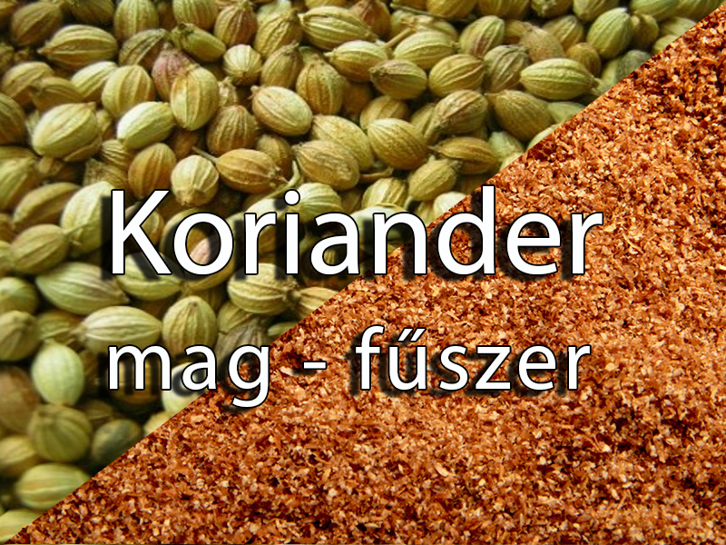 Koriander mag